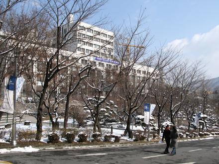 눈 내린 교정