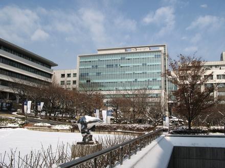 눈 내린 교정