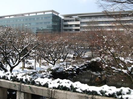 눈 내린 교정
